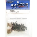 SET DE PARAFUSOS  RAPTOR